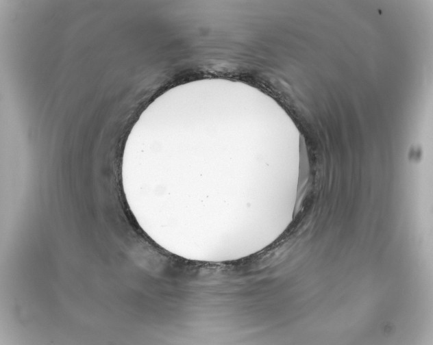 X0000090421345200708101933