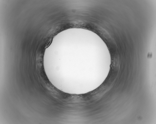X0000090421346200708101933