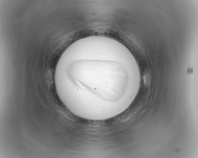 X0000090421347200708101933