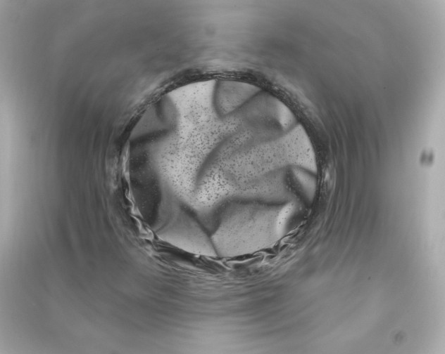 X0000090421348200708101933