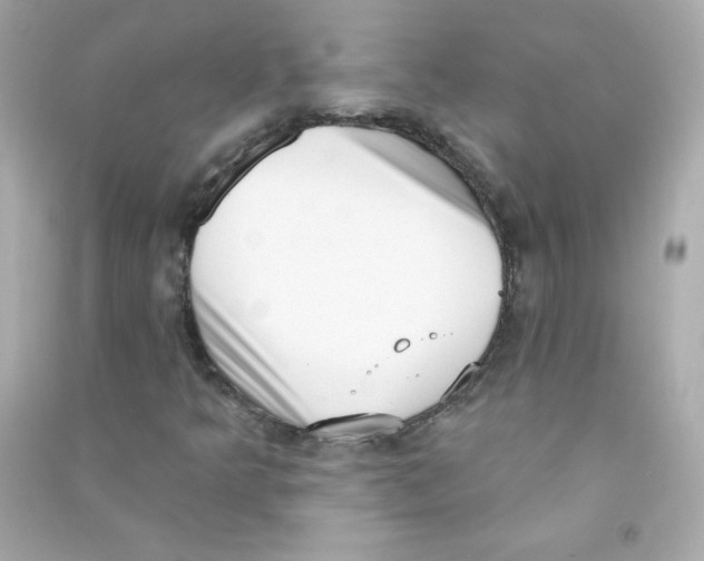 X0000090421349200708101933