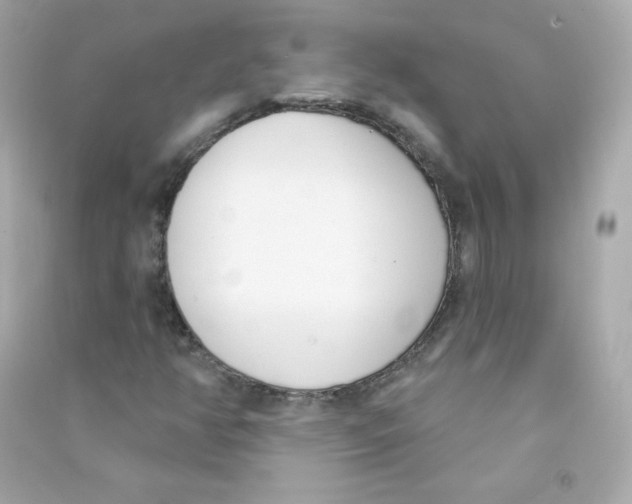 X0000090421350200708101933