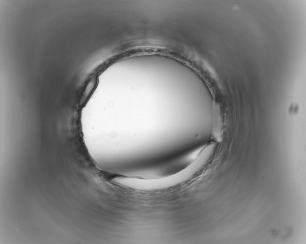 X0000090421352200708101933