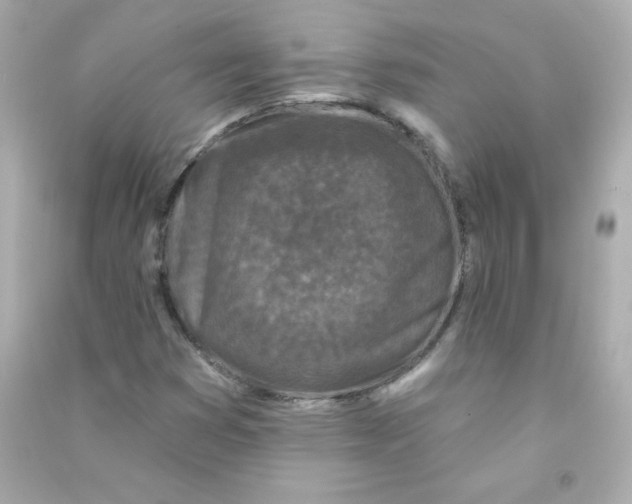 X0000090421353200708101933