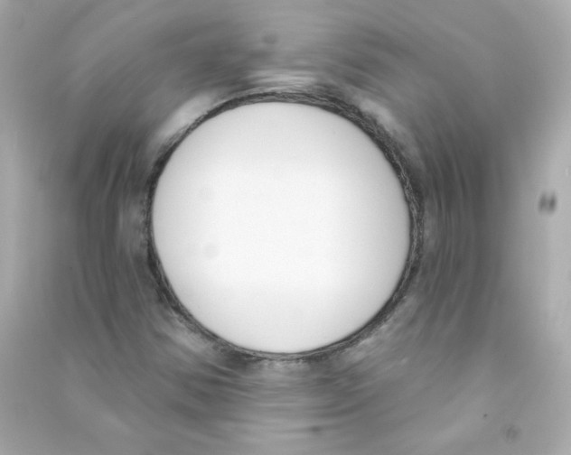 X0000090421354200708101933