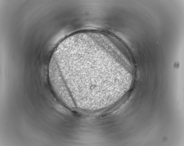 X0000090421355200708101933