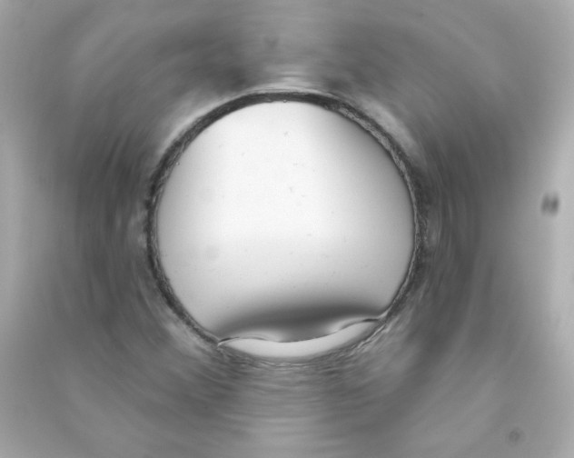 X0000090421356200708101933