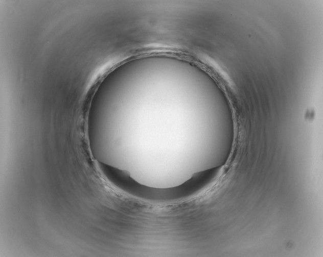 X0000090421357200708101933