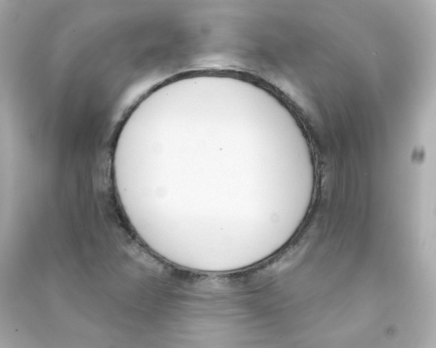 X0000090421358200708101933