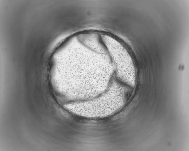 X0000090421359200708101933