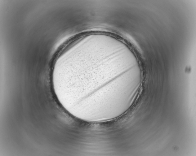 X0000090421360200708101932