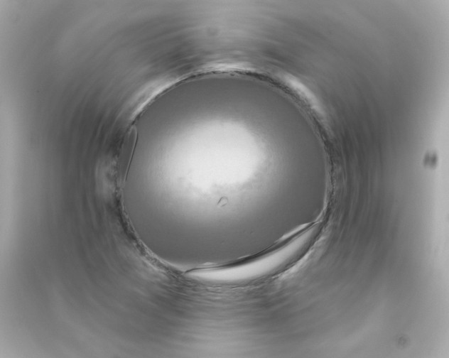 X0000090421361200708101932