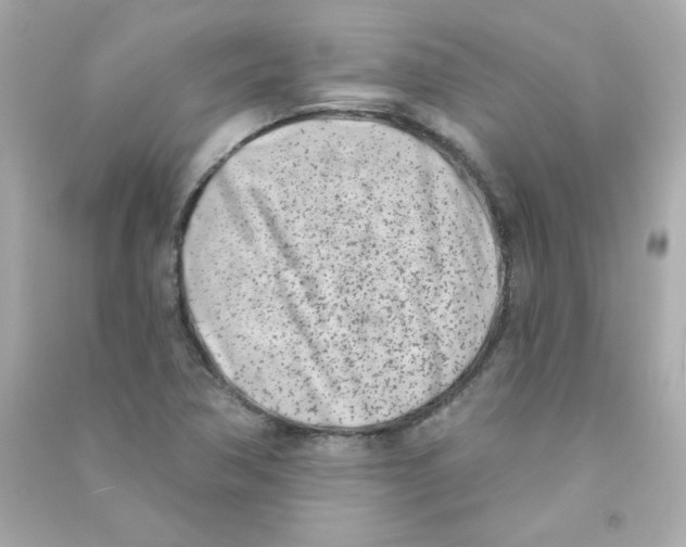 X0000090421362200708101932