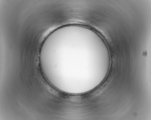 X0000090421363200708101932