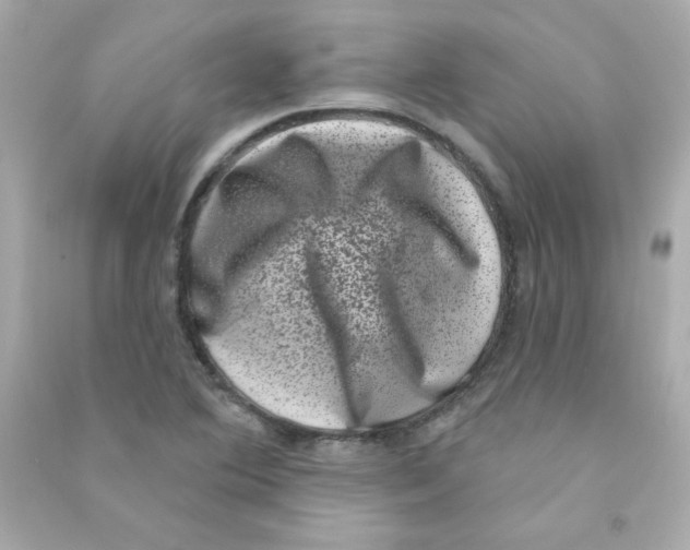 X0000090421364200708101932