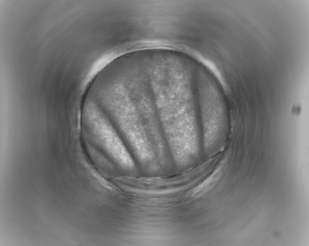 X0000090421365200708101932