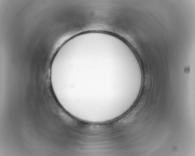X0000090421366200708101932