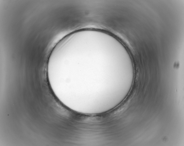 X0000090421367200708101932