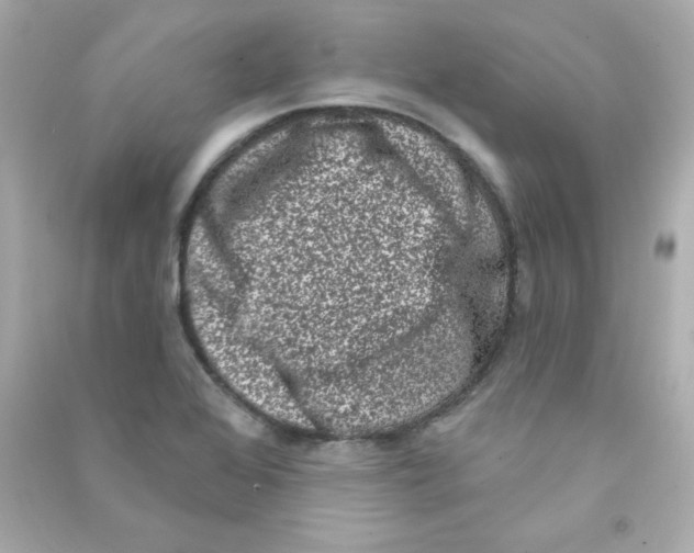 X0000090421368200708101932