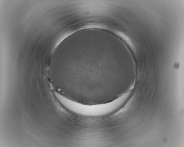 X0000090421369200708101932