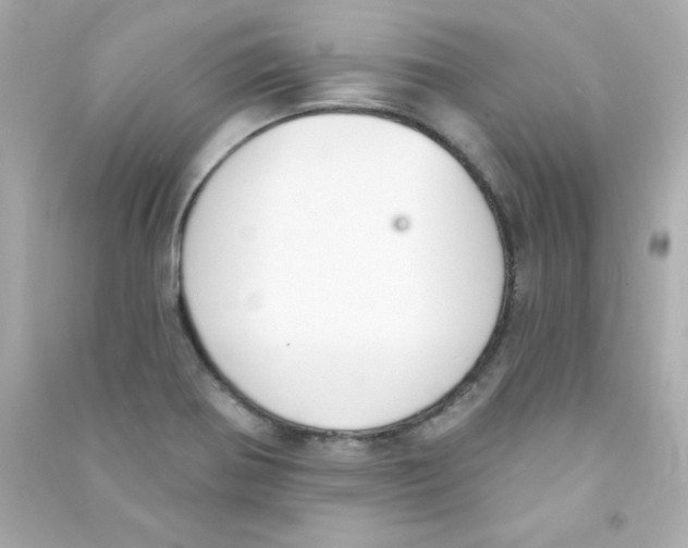 X0000090421370200708101932