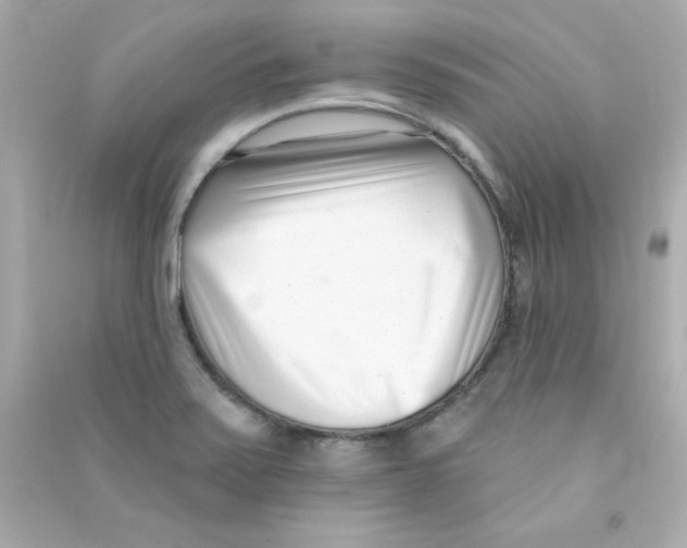 X0000090421371200708101932