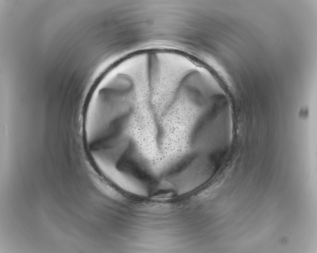 X0000090421372200708101932