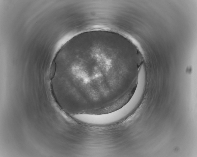 X0000090421373200708101932