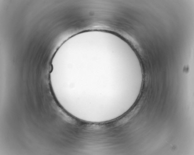 X0000090421374200708101932