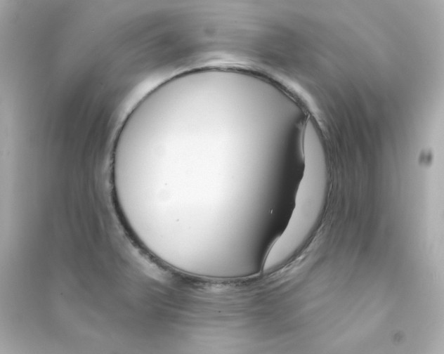 X0000090421375200708101932