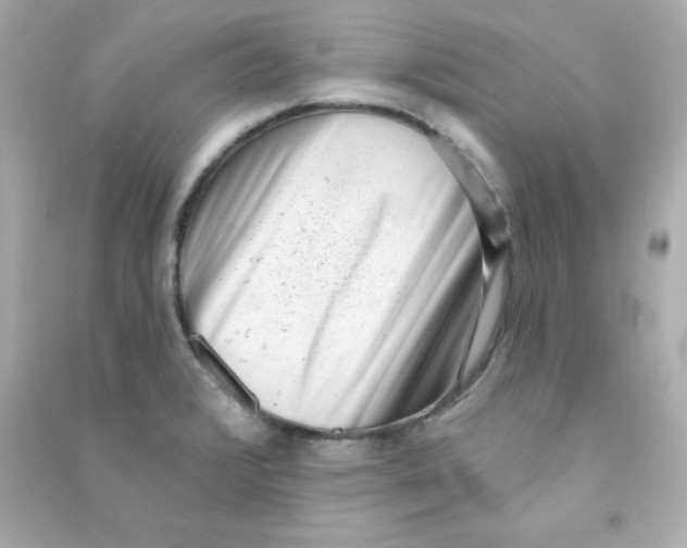 X0000090421376200708101932