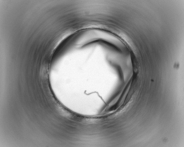 X0000090421377200708101932