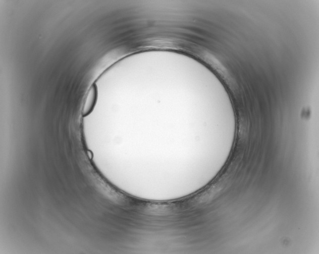 X0000090421378200708101932