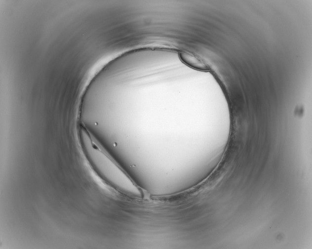 X0000090421379200708101932