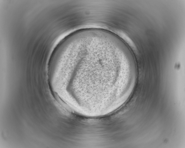 X0000090421380200708101932