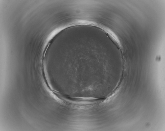 X0000090421381200708101932