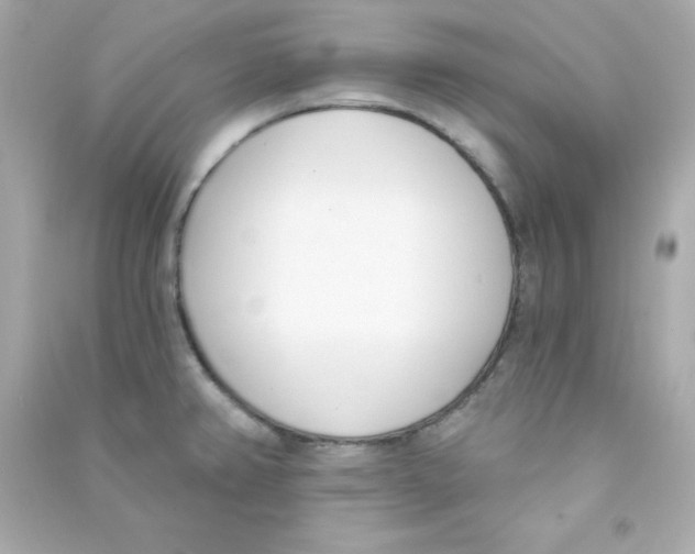 X0000090421382200708101932