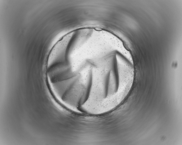 X0000090421383200708101932