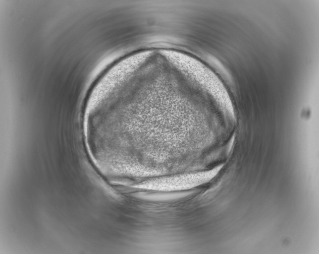 X0000090421384200708101932