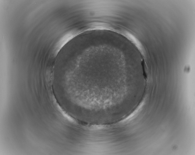 X0000090421385200708101932