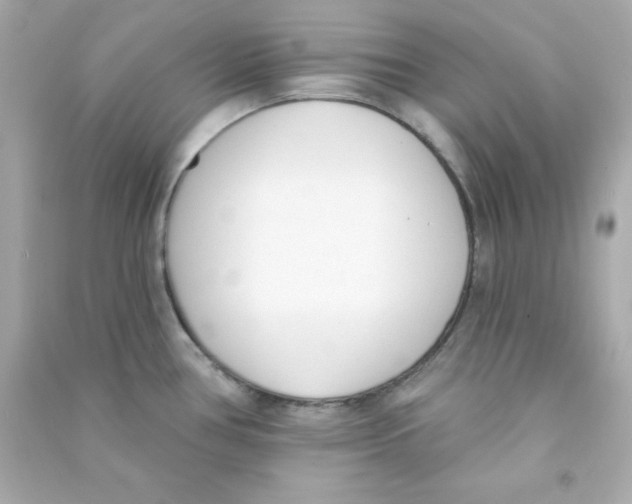 X0000090421386200708101932