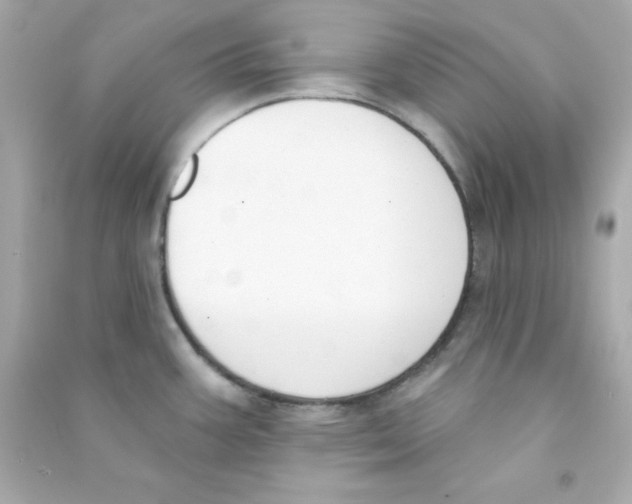 X0000090421387200708101932