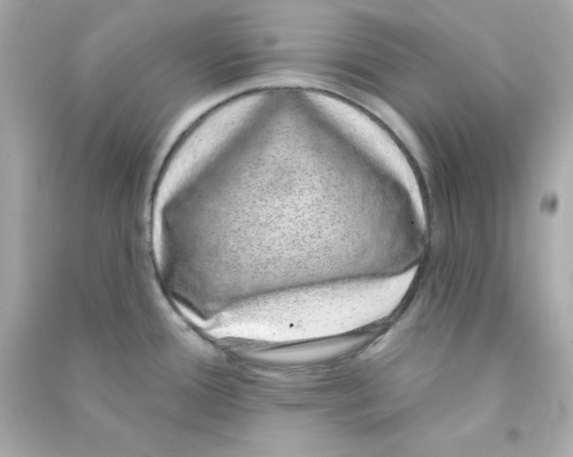 X0000090421388200708101932