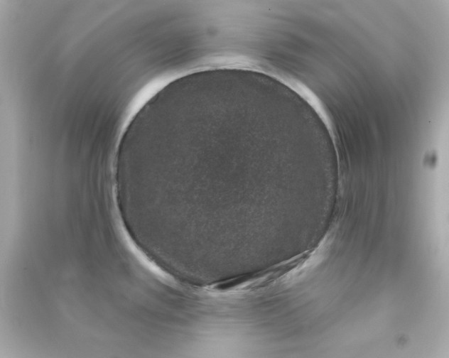 X0000090421389200708101932