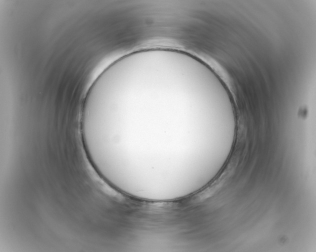 X0000090421390200708101932