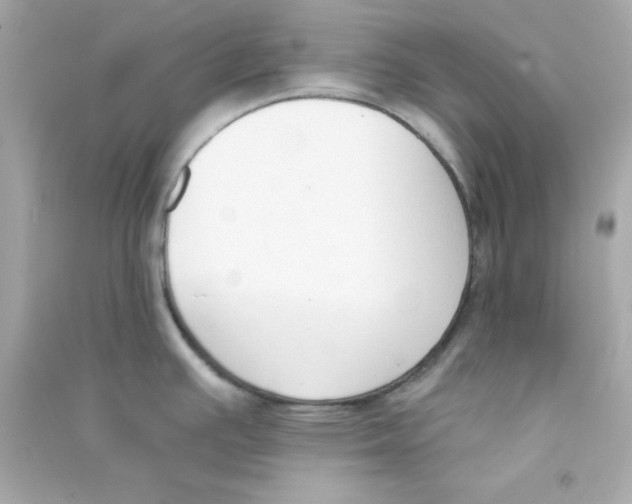 X0000090421391200708101932