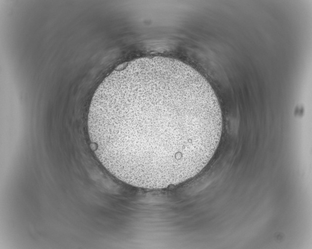 X0000090421393200708101931