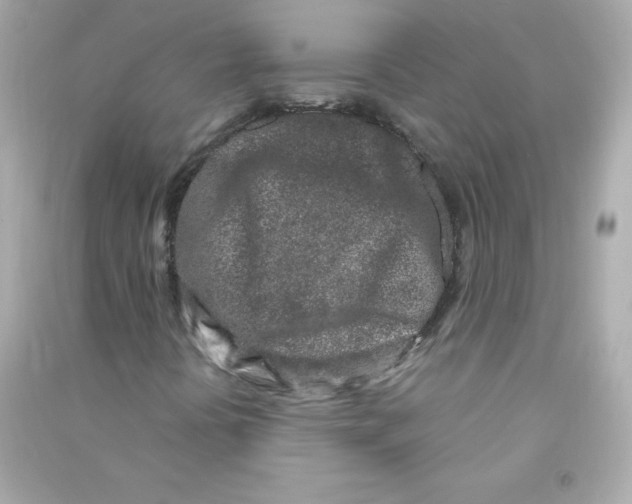 X0000090421394200708101931