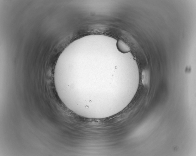 X0000090421395200708101931