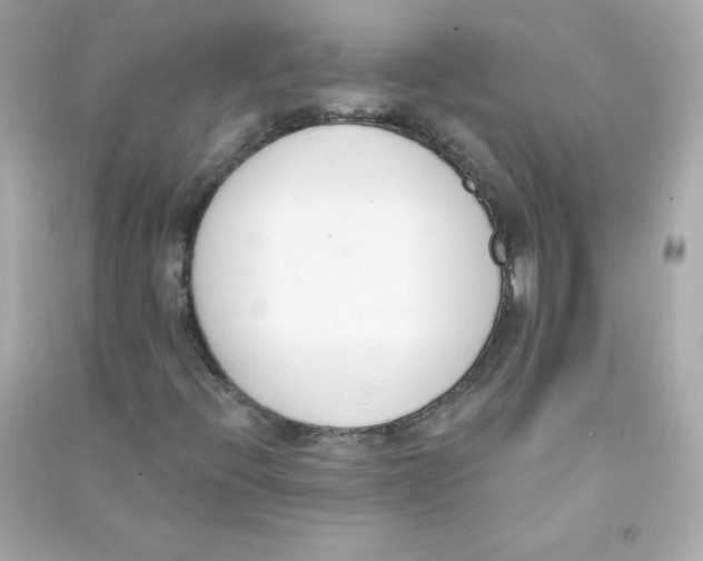 X0000090421396200708101931